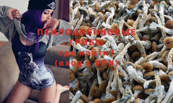 не бодяженный Алзамай