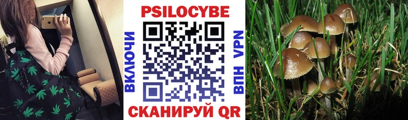 Купить  Володарск  Галлюциногенные грибы мухоморы 